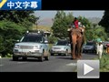 奇葩的印度交通 新攬勝Hybrid長途試駕